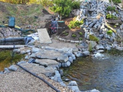 Les meilleures pierres pour le bassin à carpes koï.